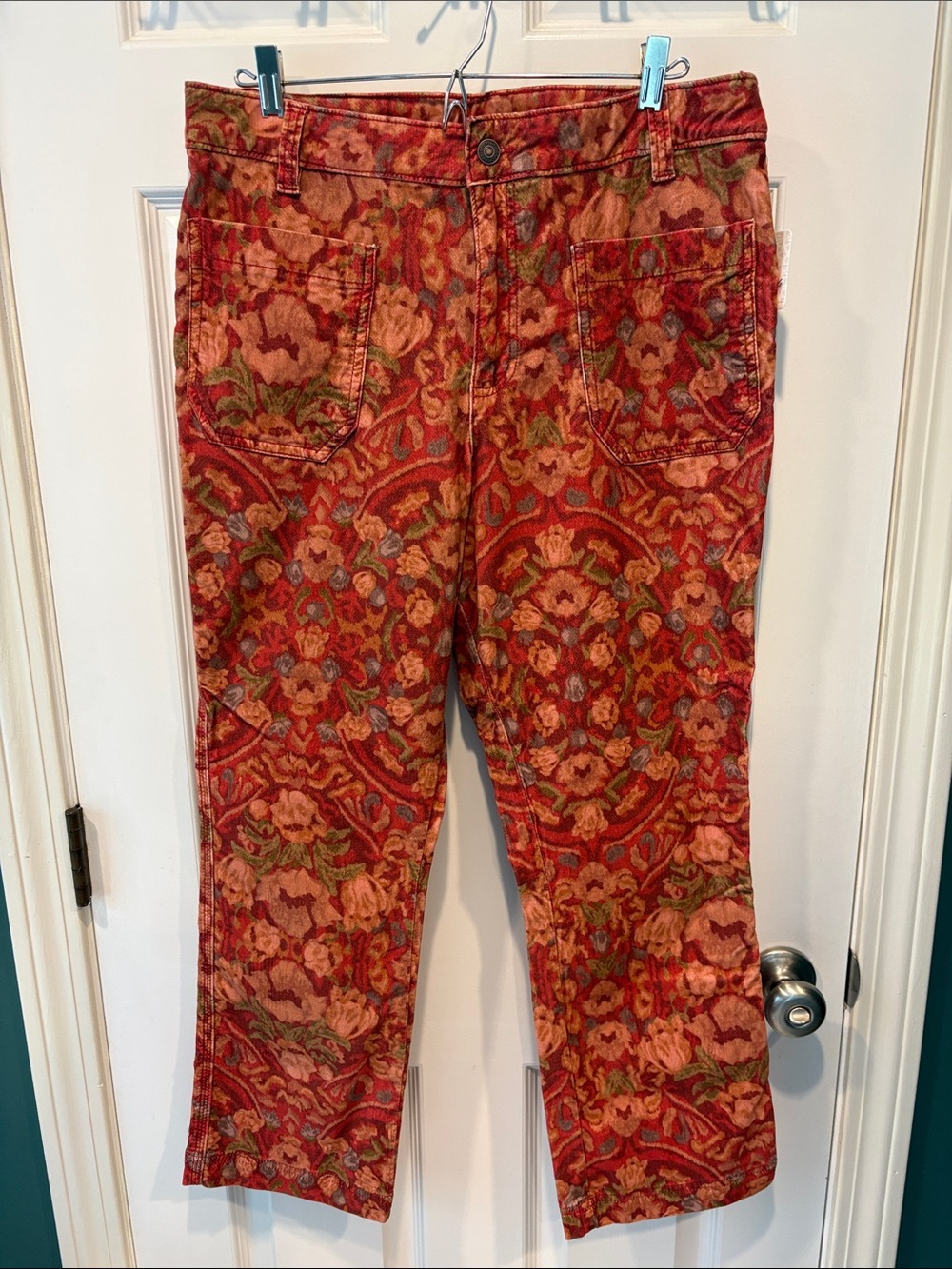 Free People Red Floral Velvety Pants